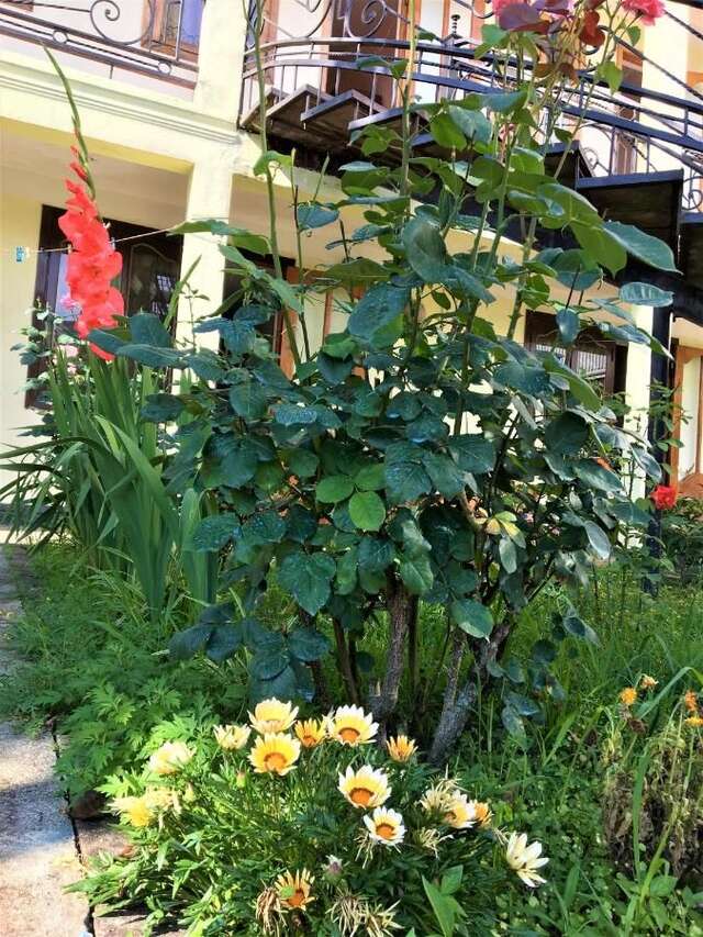 Гостевой дом Yellow House Кобулети-17