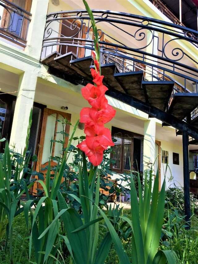 Гостевой дом Yellow House Кобулети-32